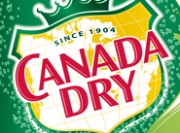 Canada Dry Ginger Ale Review